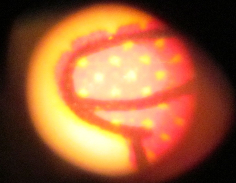 C:\Users\seanms\Desktop\Ripken Mystery Card\Unknown card 1.jpg