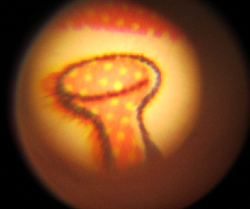 C:\Users\seanms\Desktop\Ripken Mystery Card\rounded.jpg