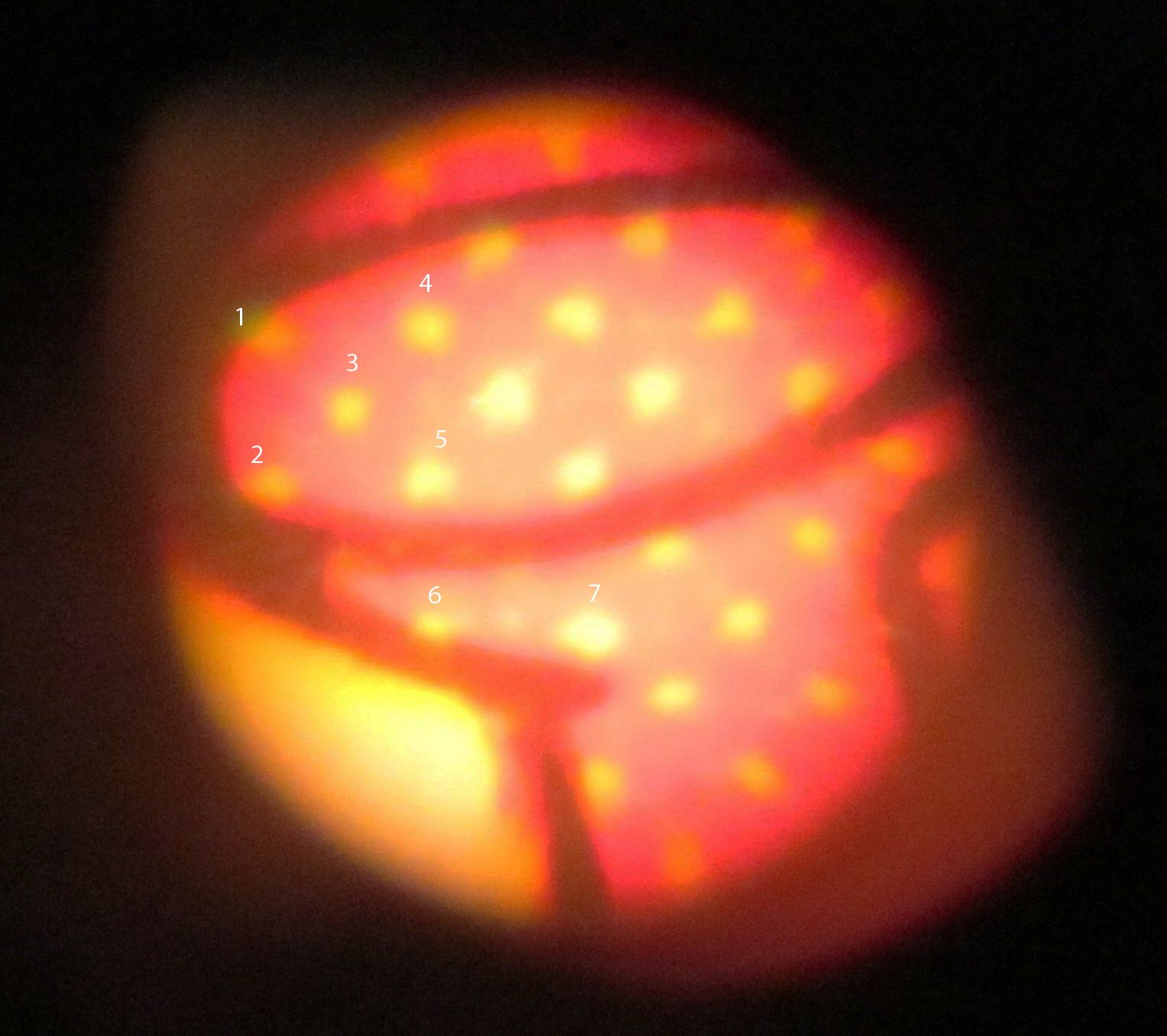 C:\Users\seanms\Desktop\Ripken Mystery Card\Known card 1a.jpg