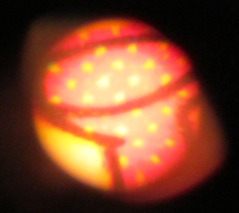 C:\Users\seanms\Desktop\Ripken Mystery Card\Known card 1.jpg