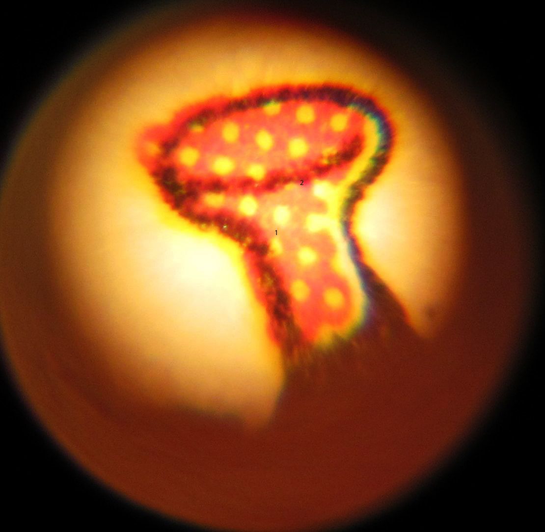 C:\Users\seanms\Desktop\Ripken Mystery Card\Tibbs1.jpg